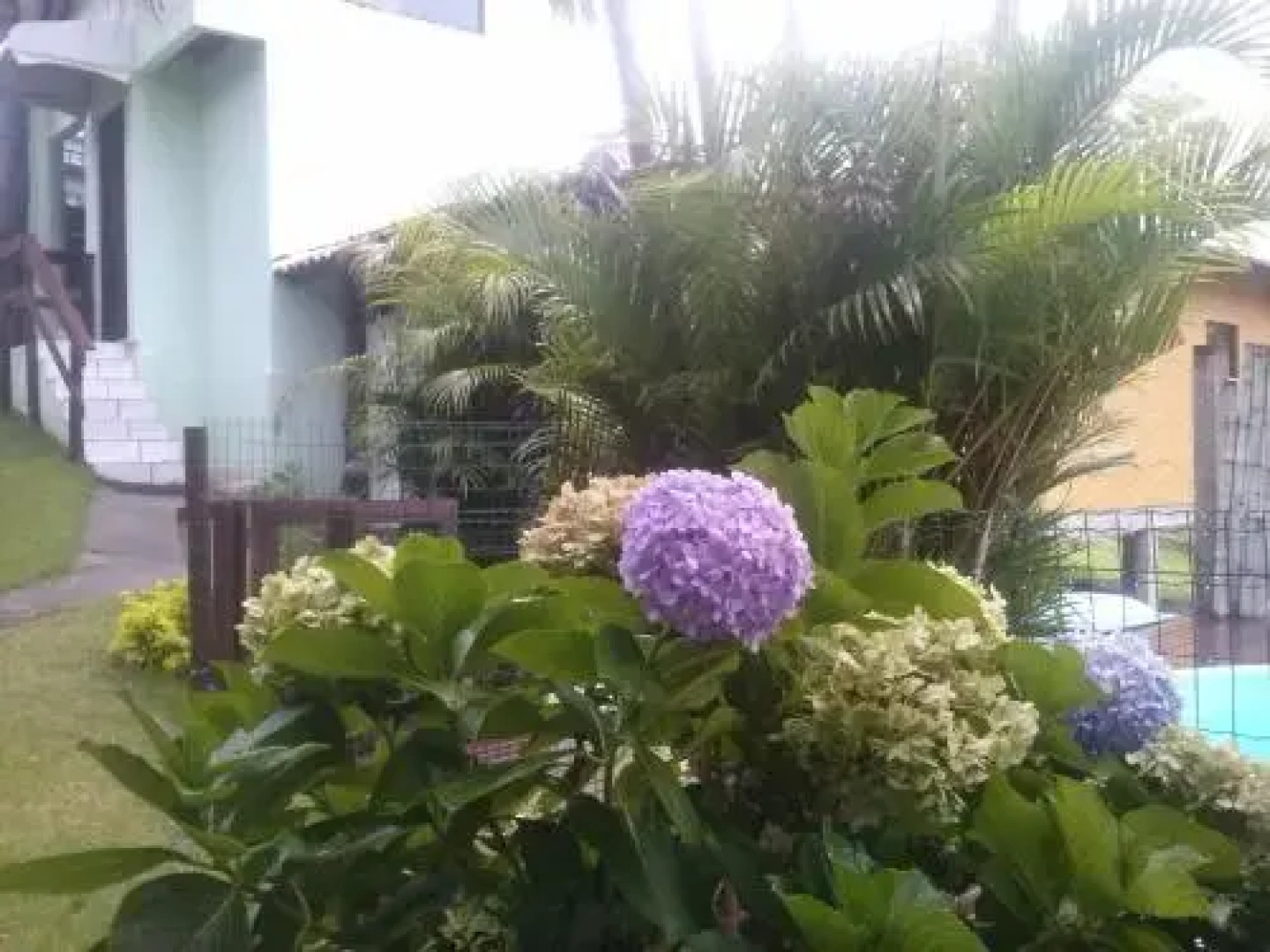 Ferrugem Pousada Regiao