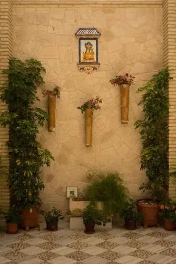 La Posada del Momo