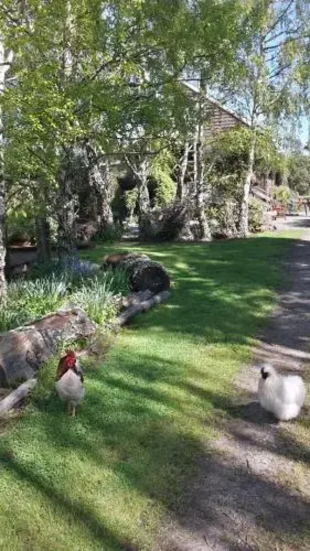 Carinya Farm Holiday Retreat