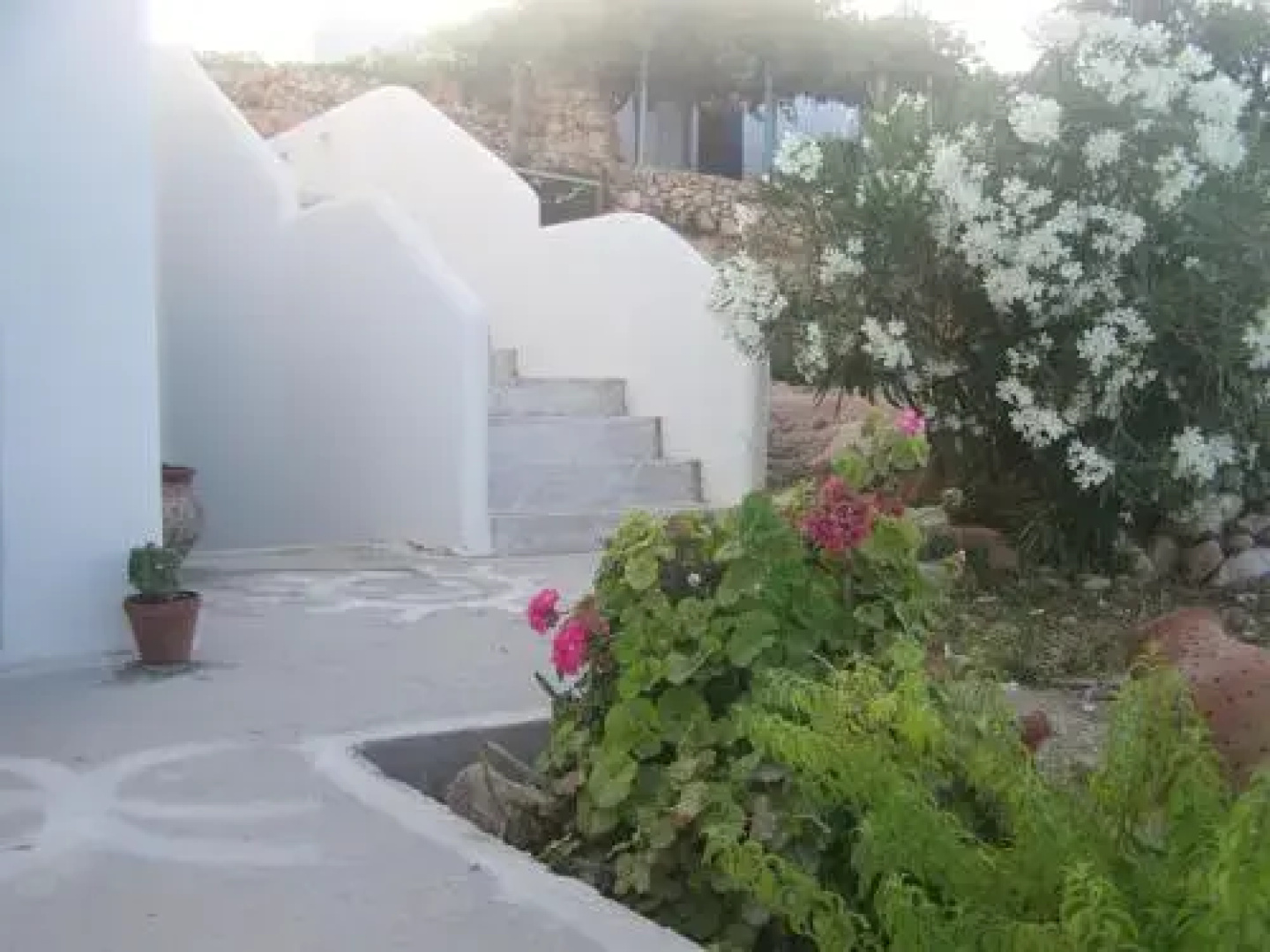 Asterias House