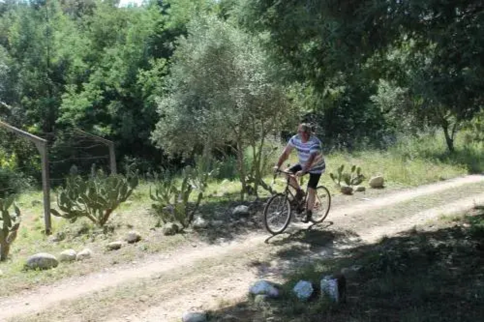 Bed & Breakfast Lagar do Rio