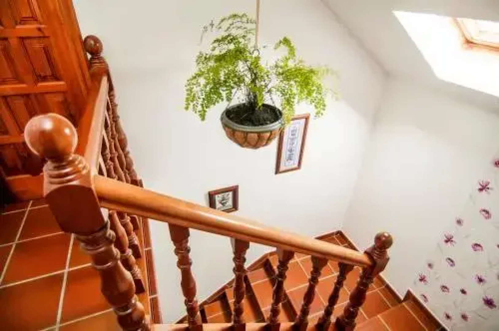 Rectoral de Areas Tui