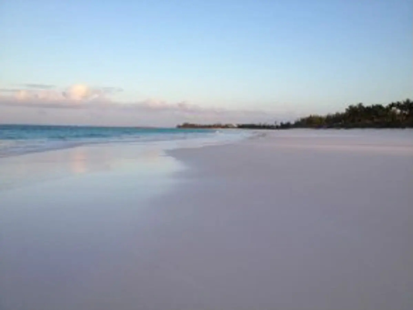 Tropical Dreams Rentals