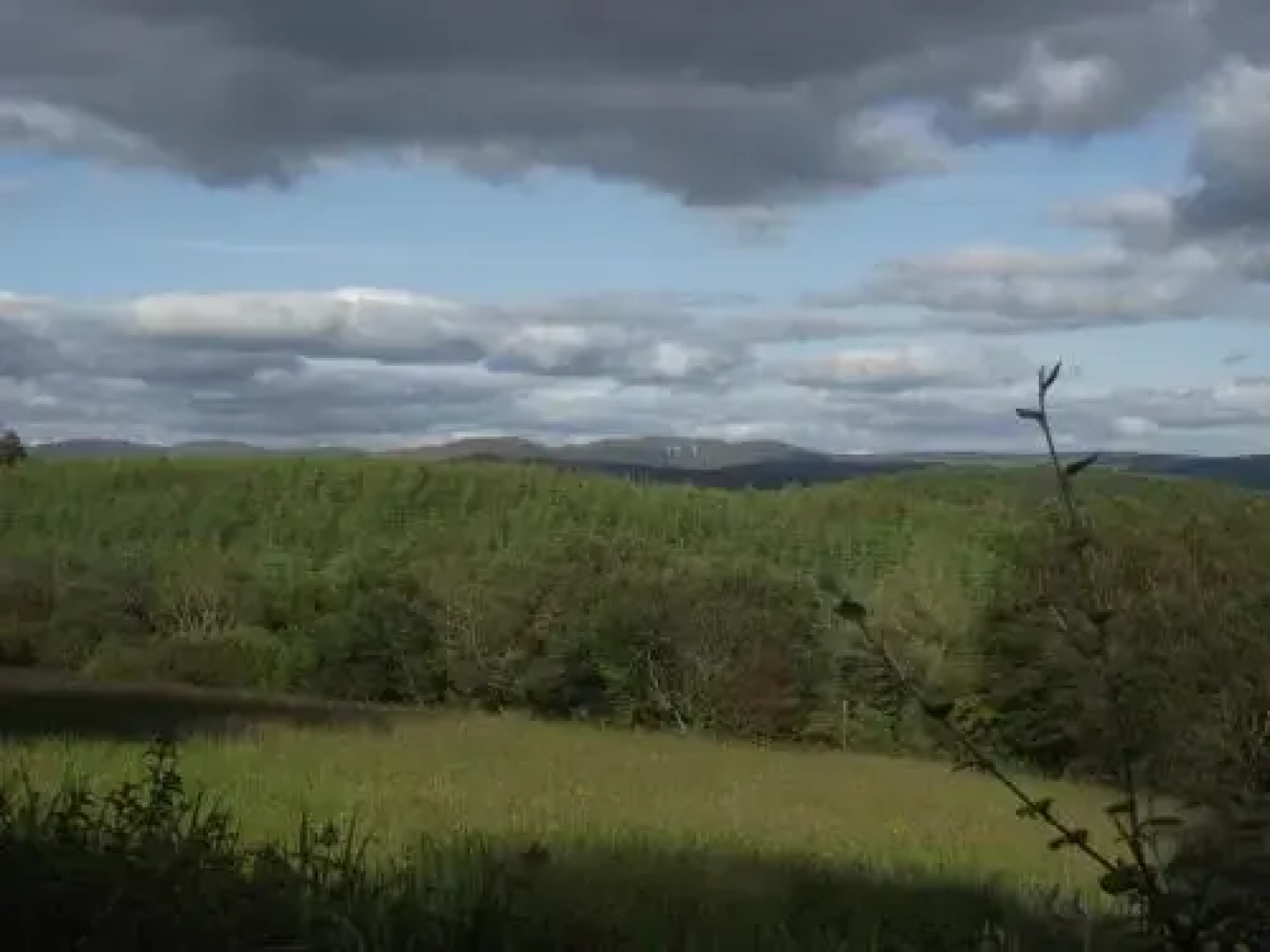 Pine View Self Catering Holiday Home
