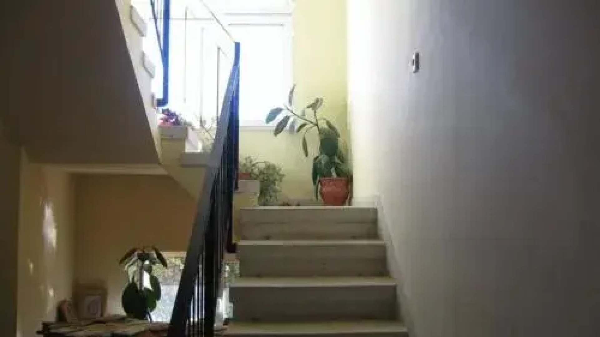 Lary Hostel