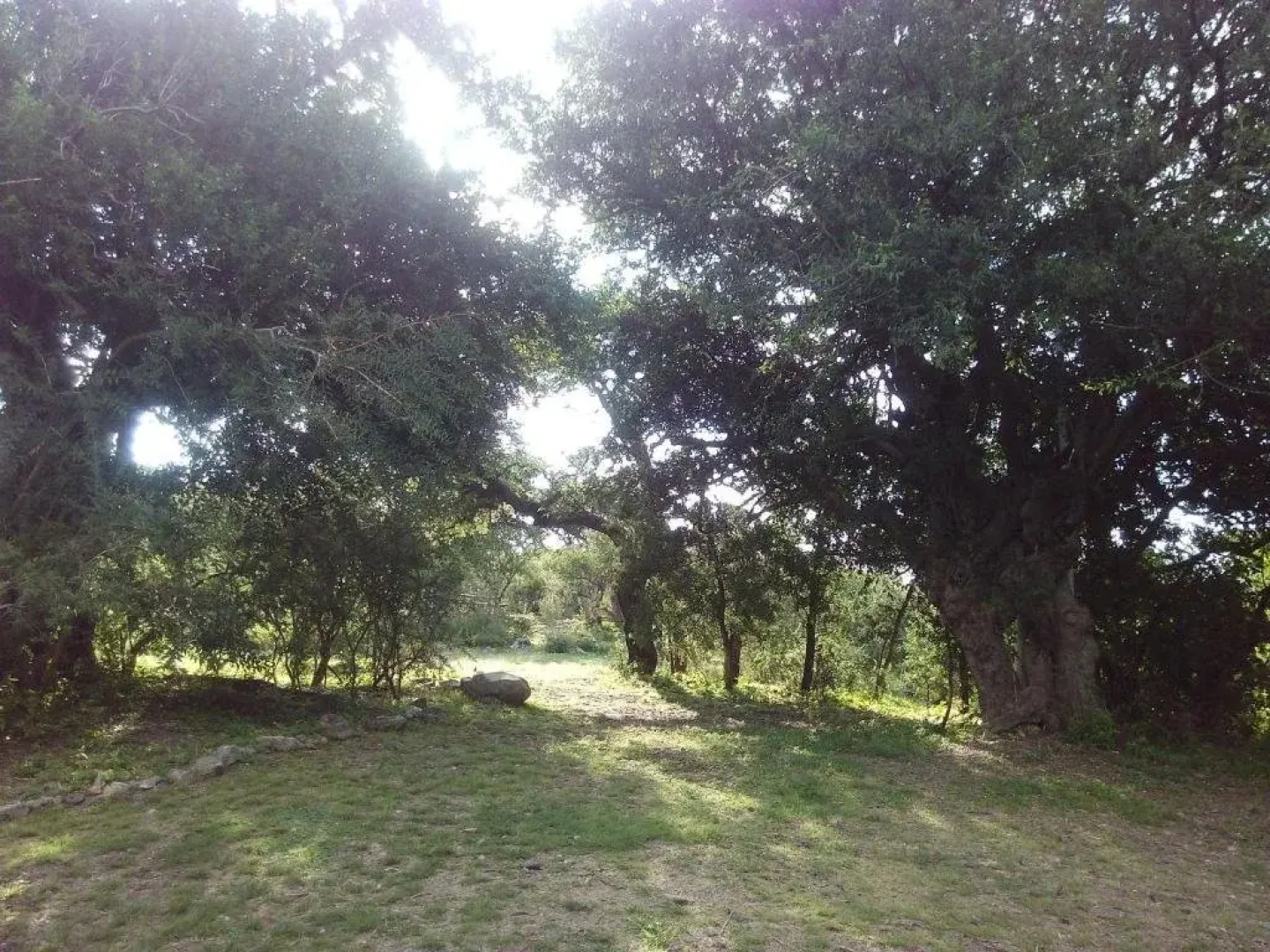Cabanas Monte Capilla