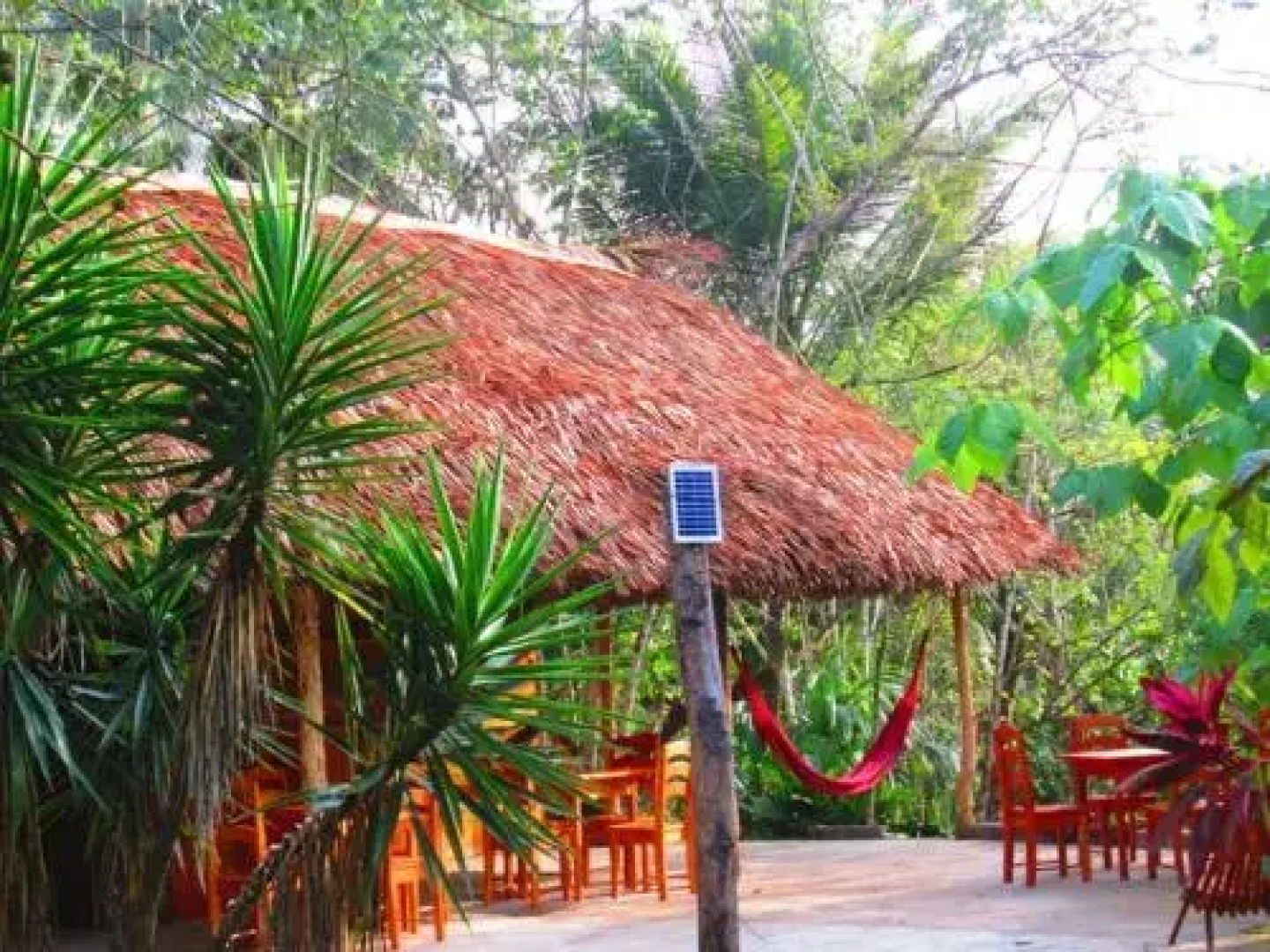 Chaya Maya Jungle Lodge