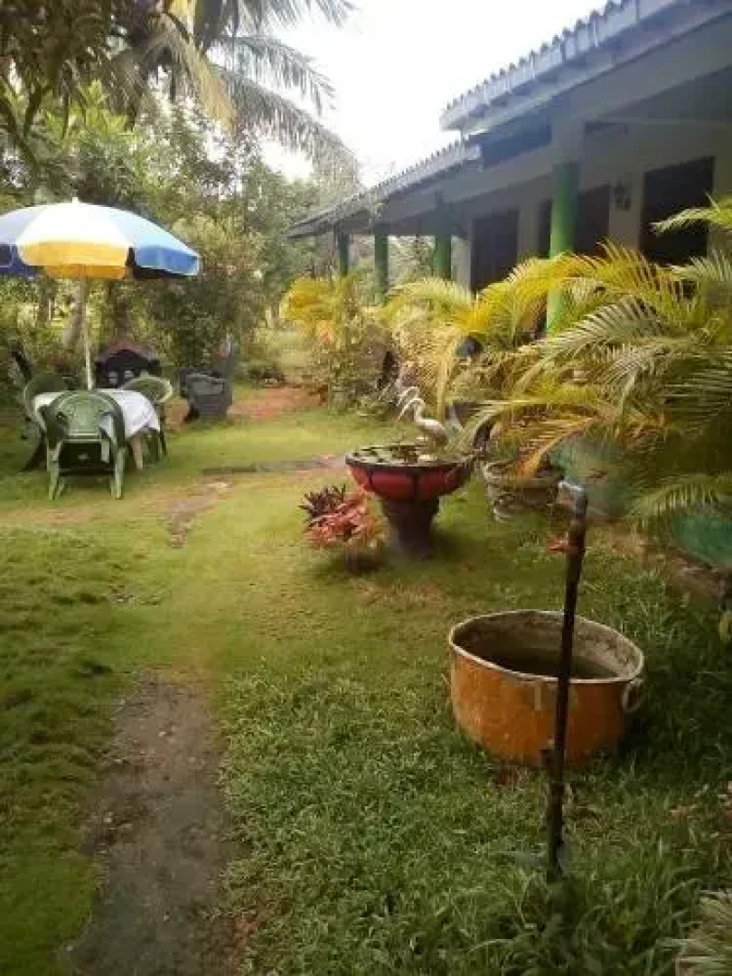 Sigiriya Green Garden Homestay