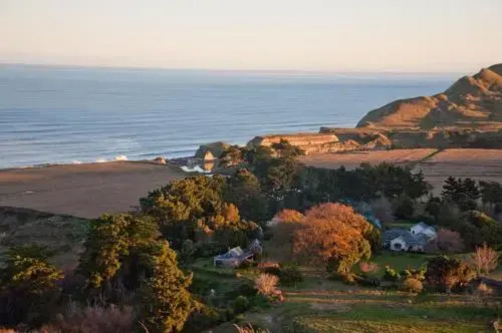 The Cottage