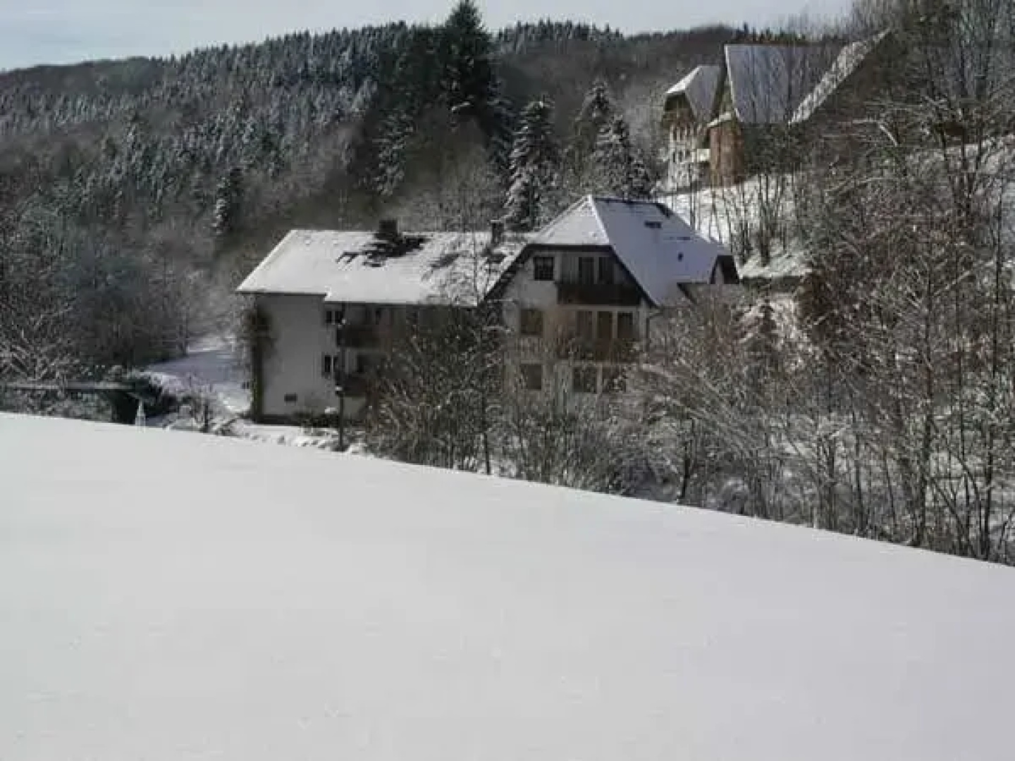 Pension Schneider