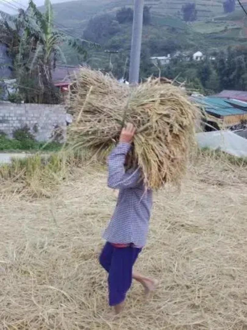 Hoàng Ngần Homestay