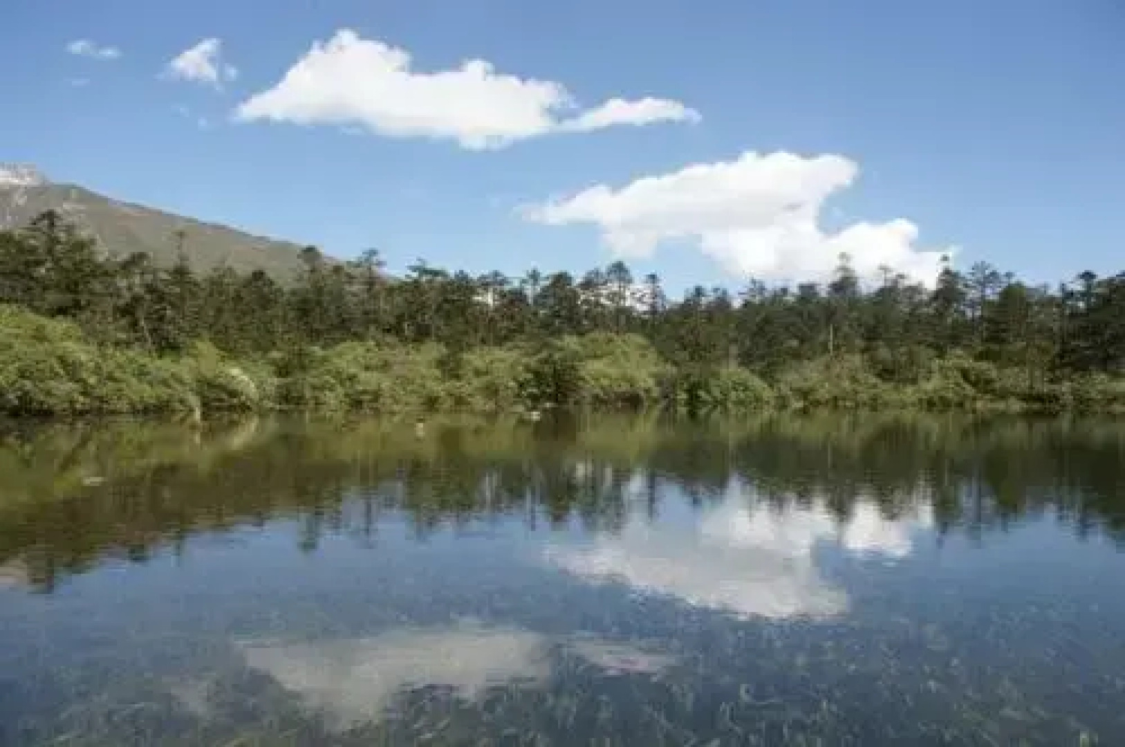 Hailuogou Friendship B&B