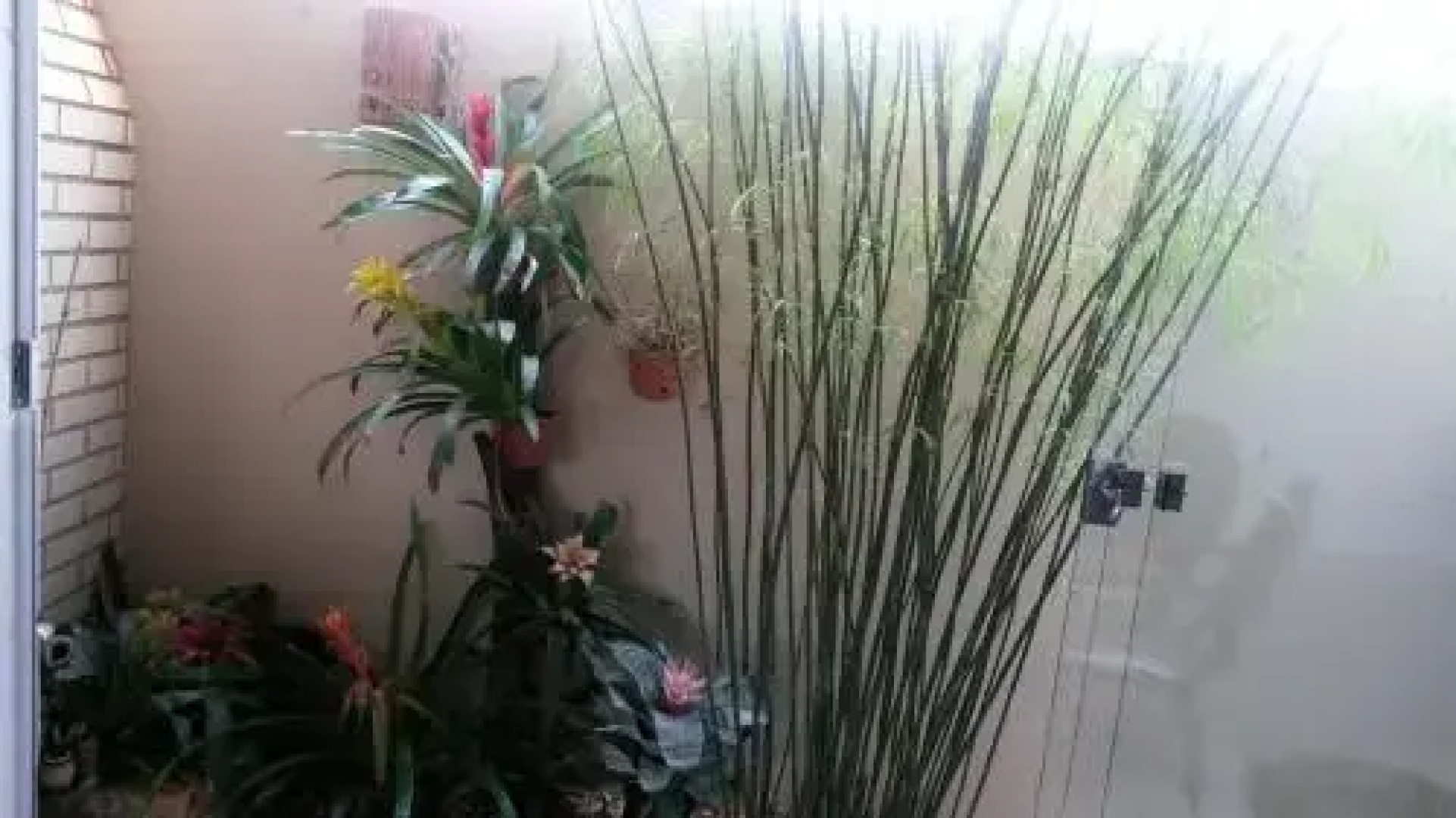 Pousada das Orquídeas
