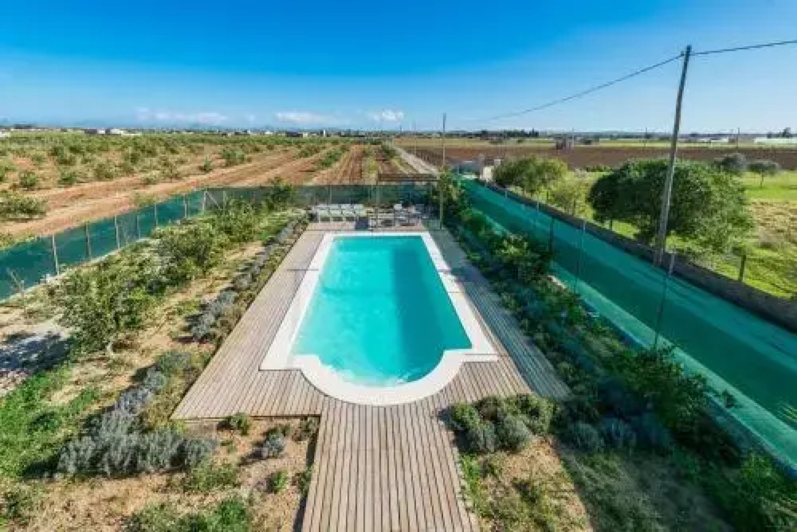 Els Tarongers De Son Gallina