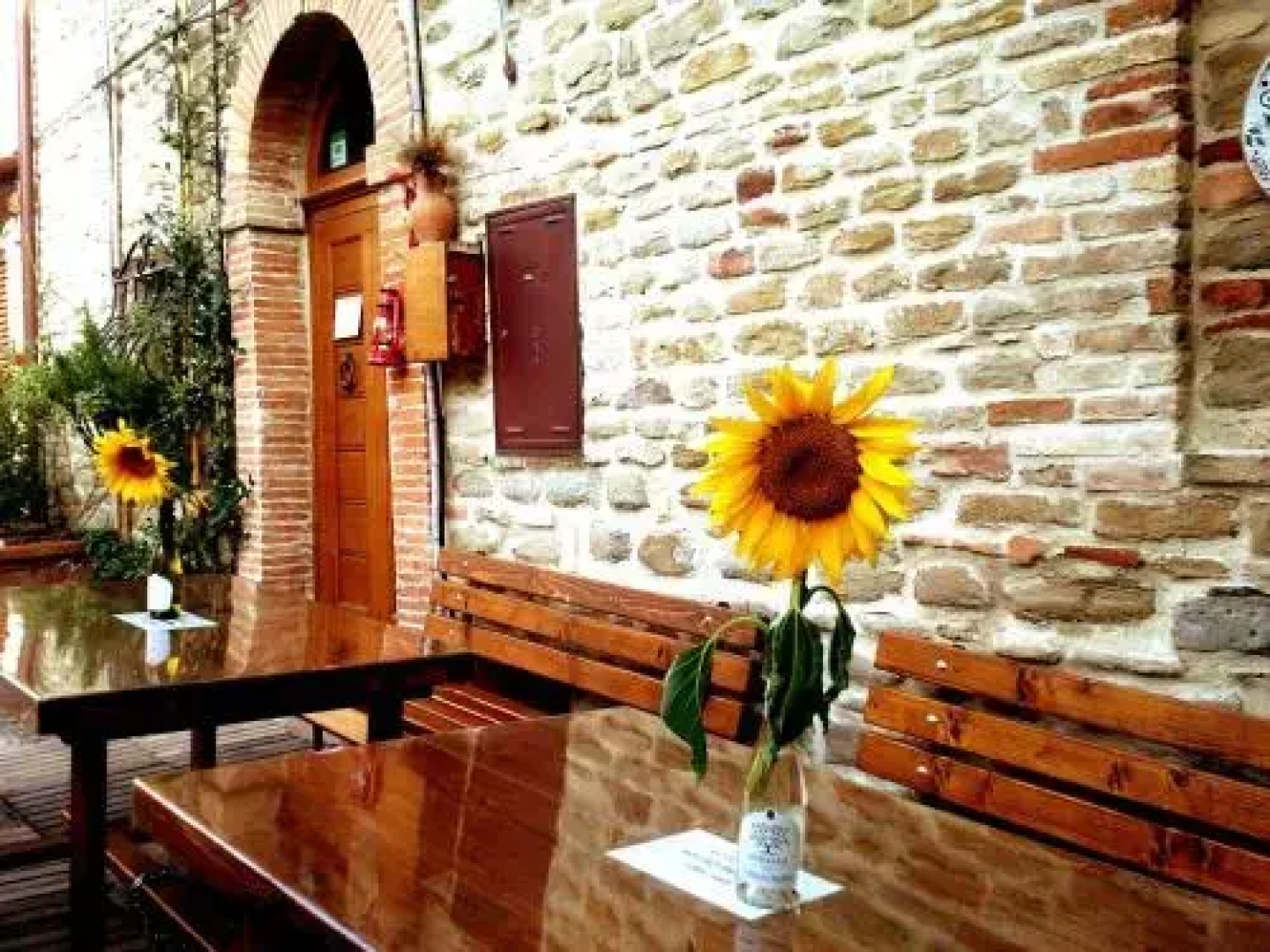 Al Castello di Montalfoglio