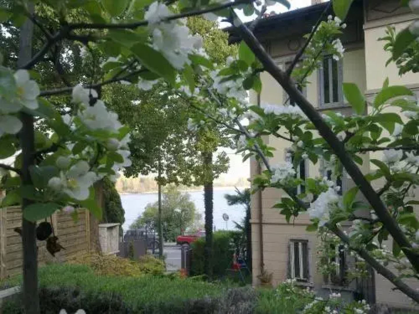 Bed & Breakfast Villa Palma