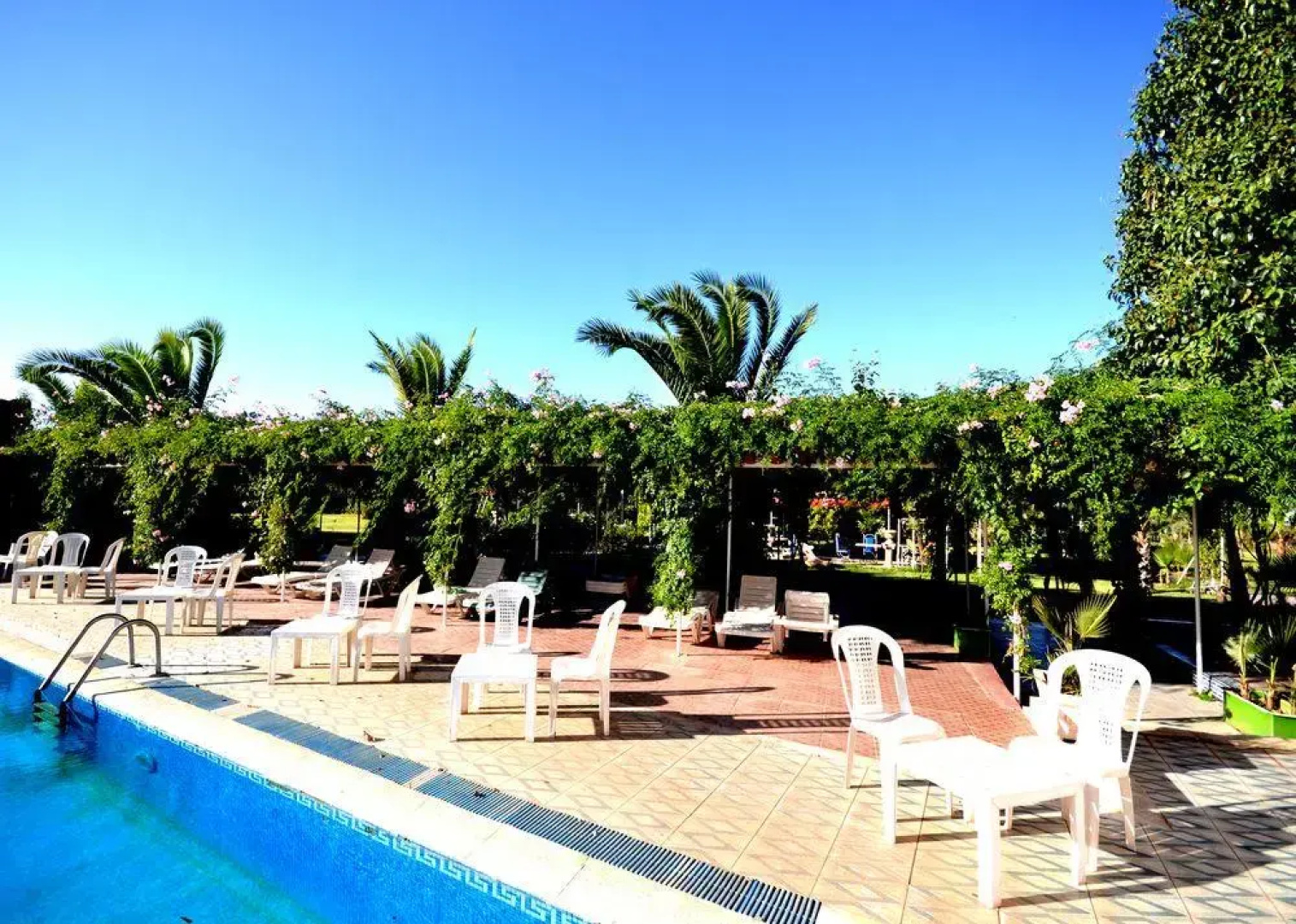 Le Jardin Des Roses