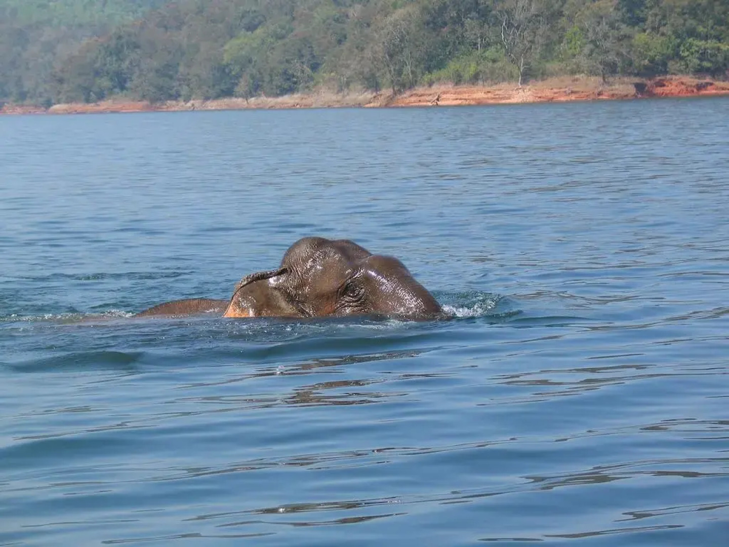 Green Meadows Vagamon