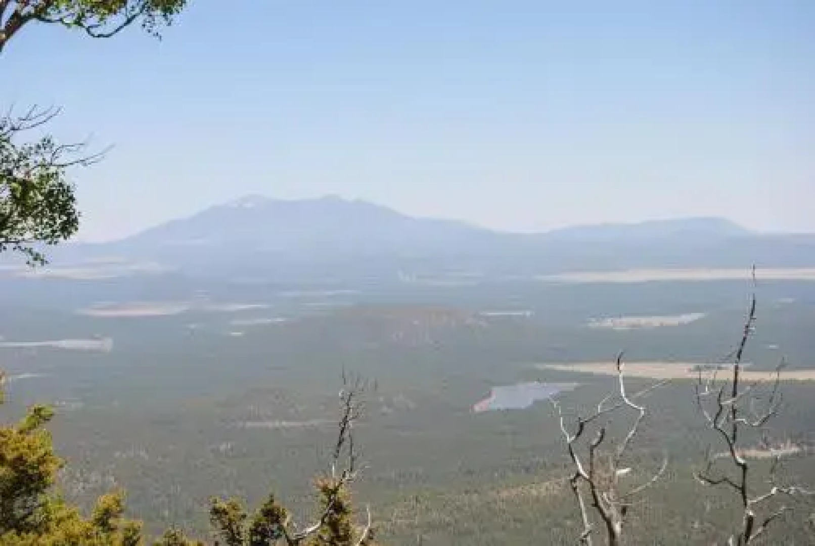 The Big Bear House