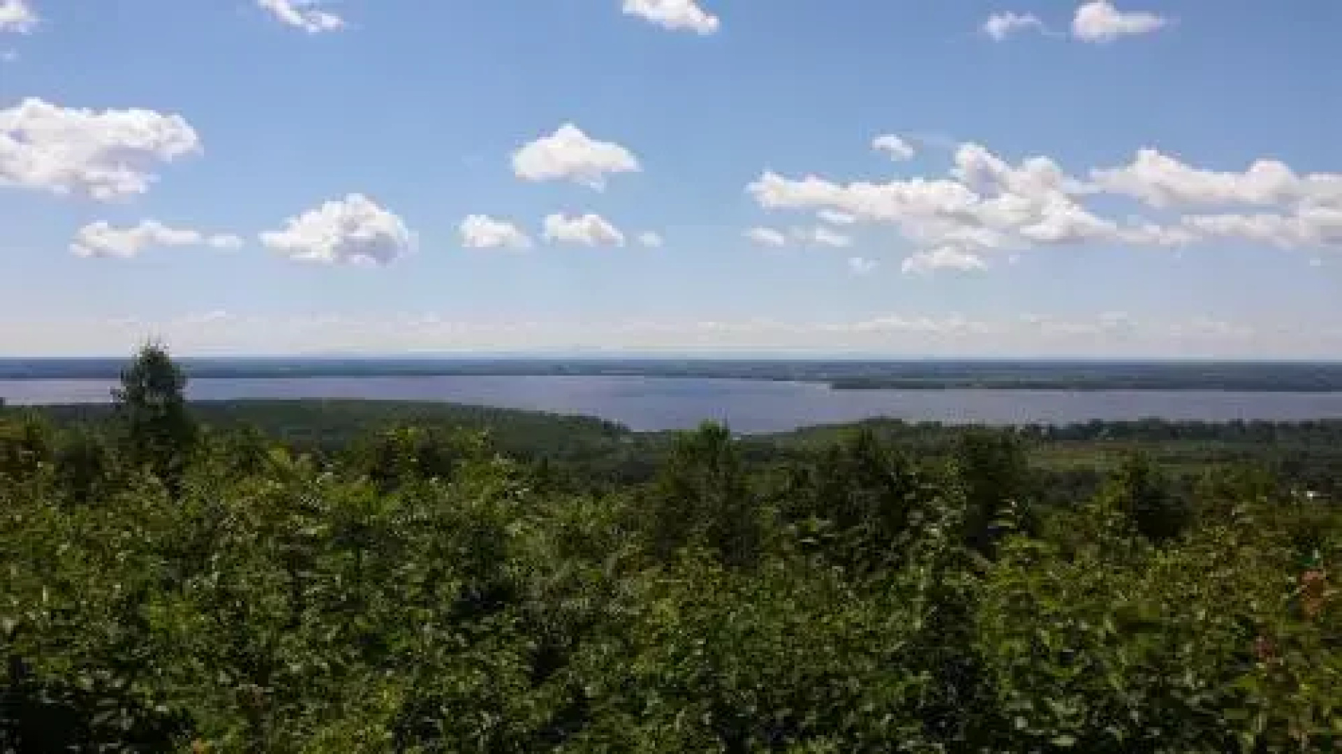 The Best of OKA