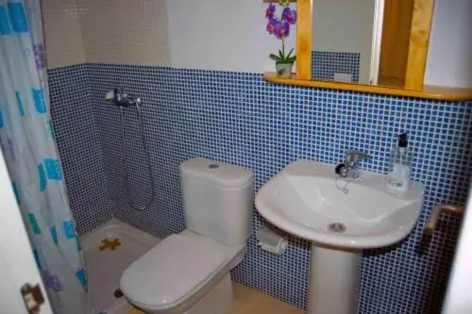 Casa Lola