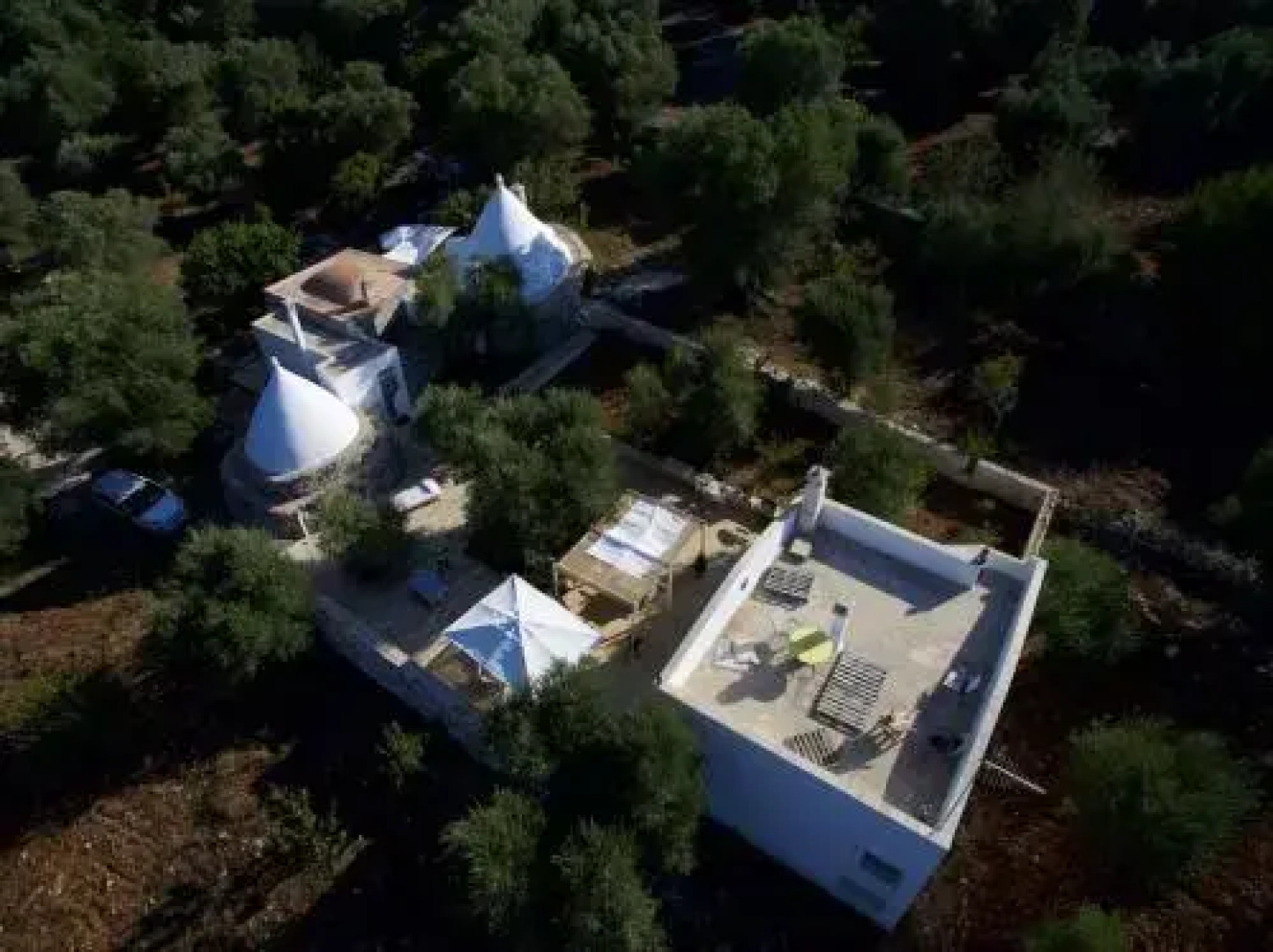 Holiday Homecontrada lamia nuova