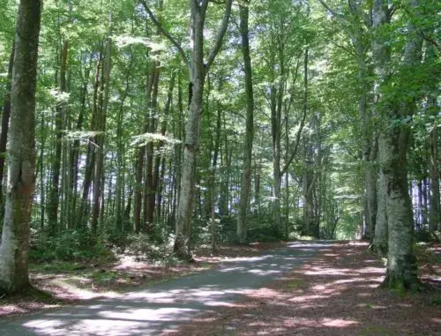 Le Relais de la Diligence