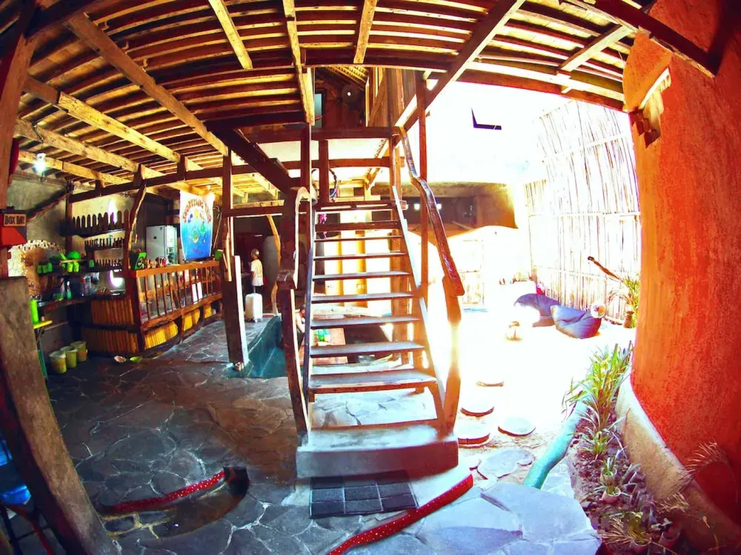 The Rabbit Tree - Hostel