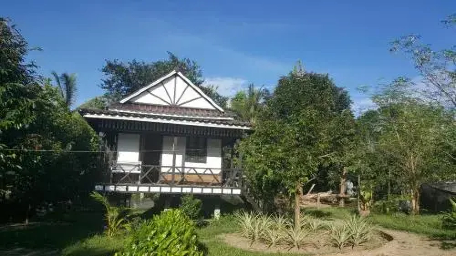 Sun Bear Bungalows