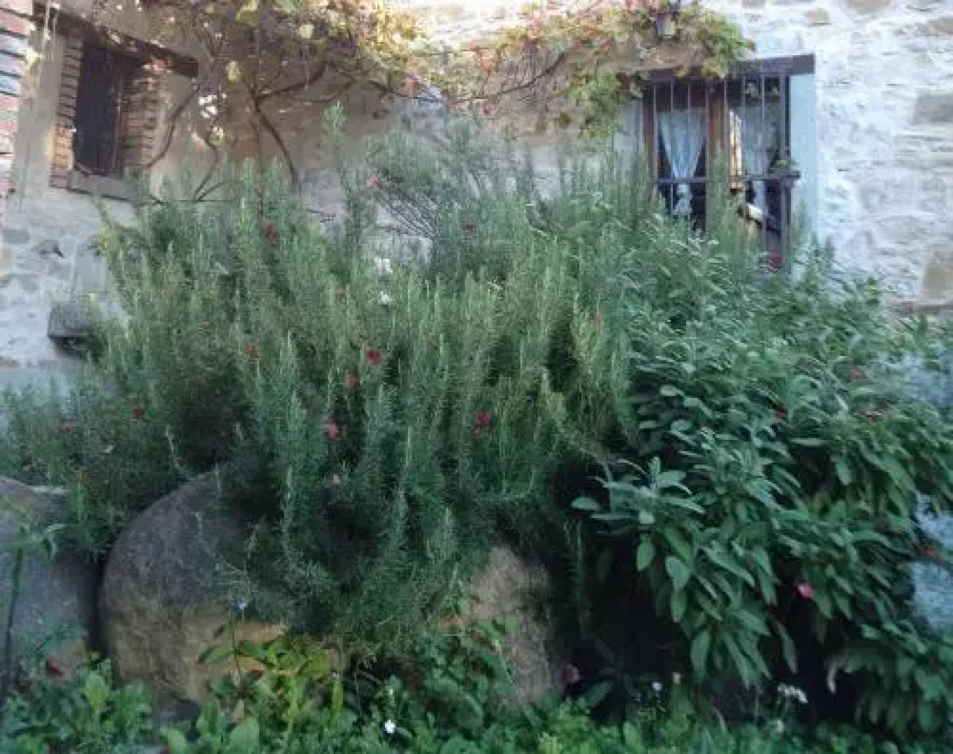 Farmstay Agriturismo Prunara