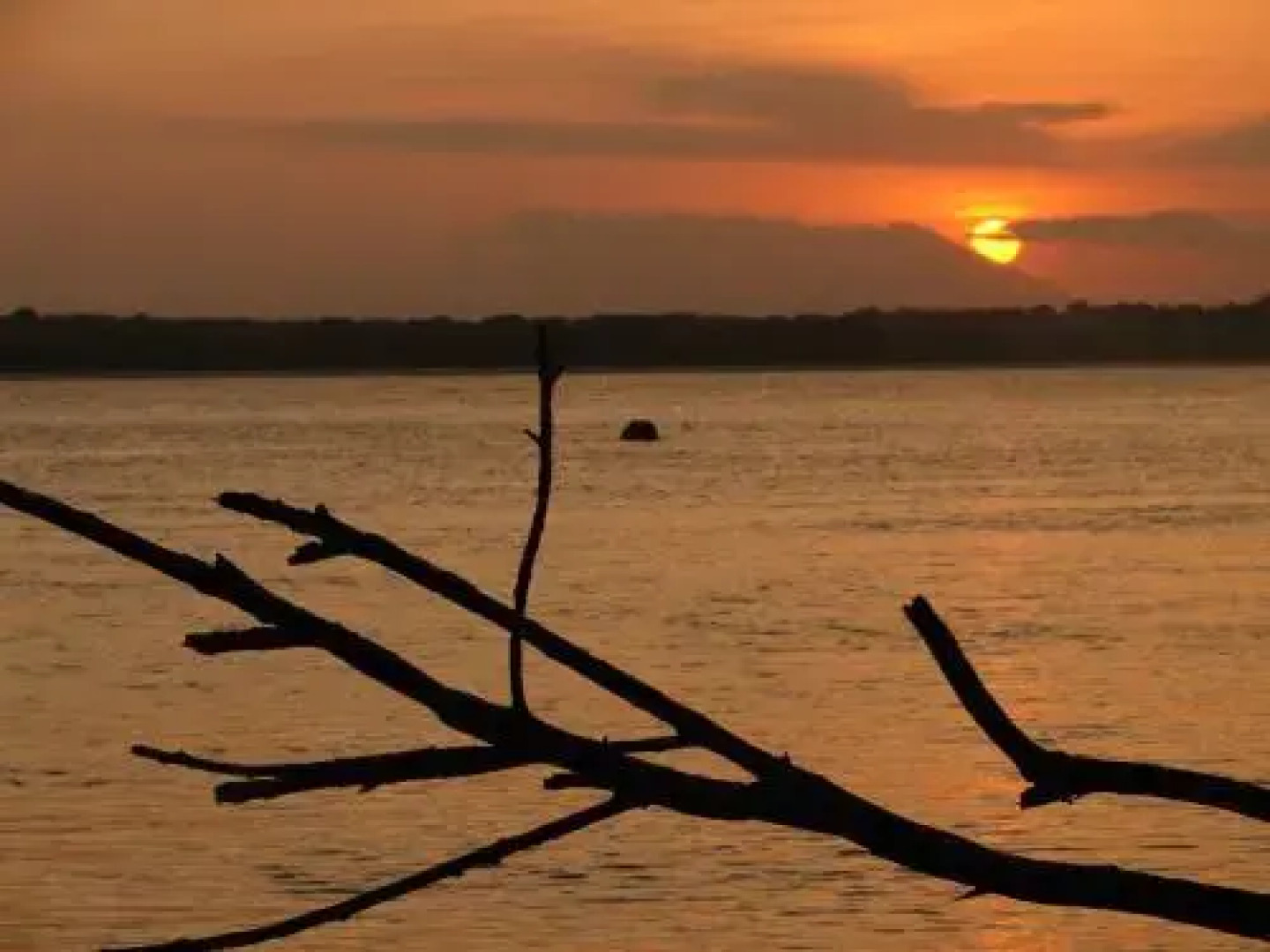 Pousada Superagui - Hostel