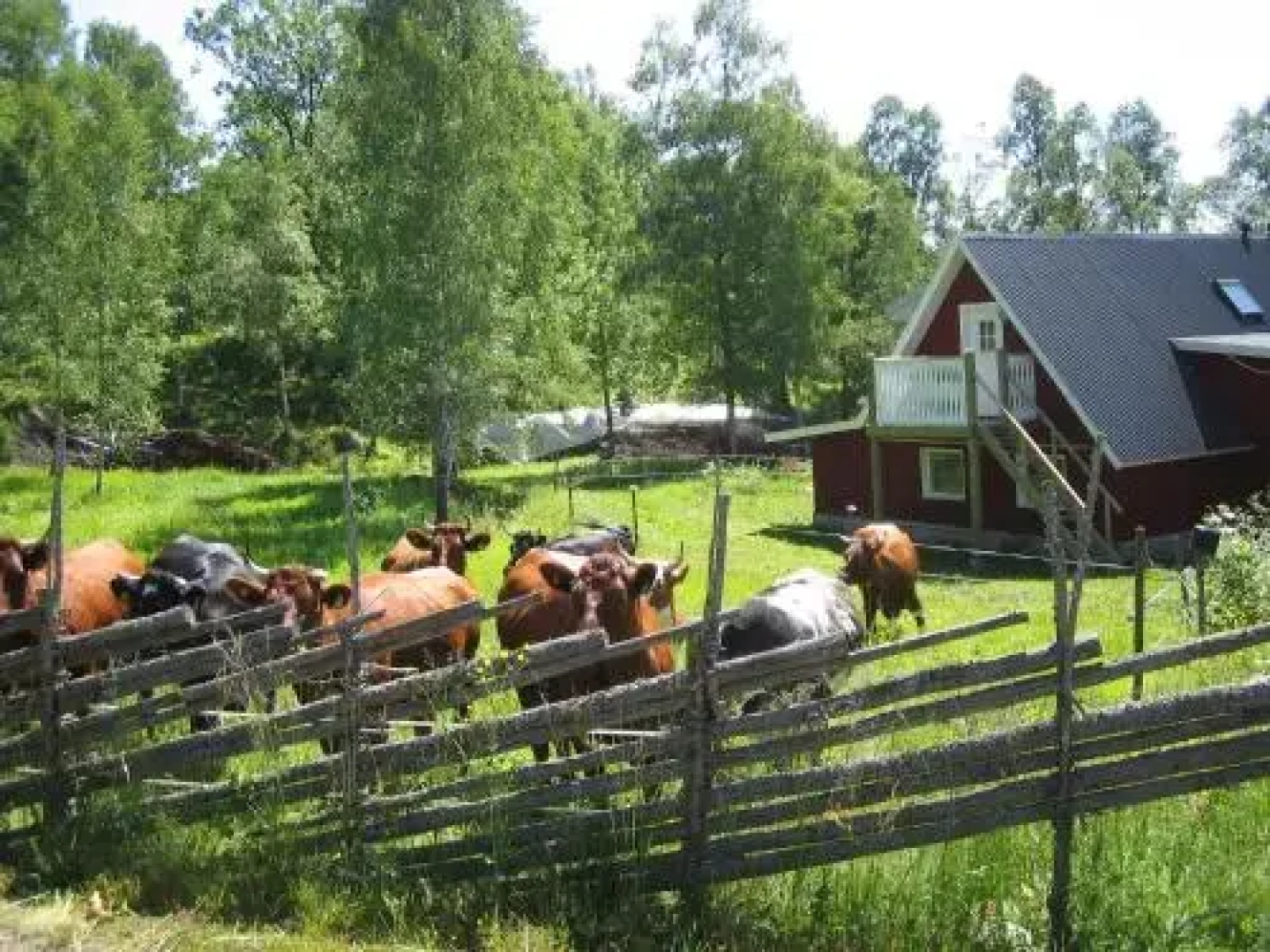 Cottage Ålaryd
