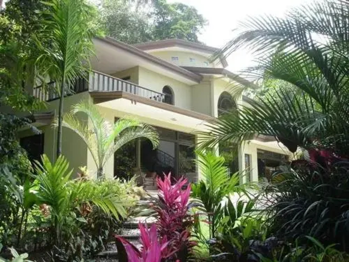 Quinta Heliconia