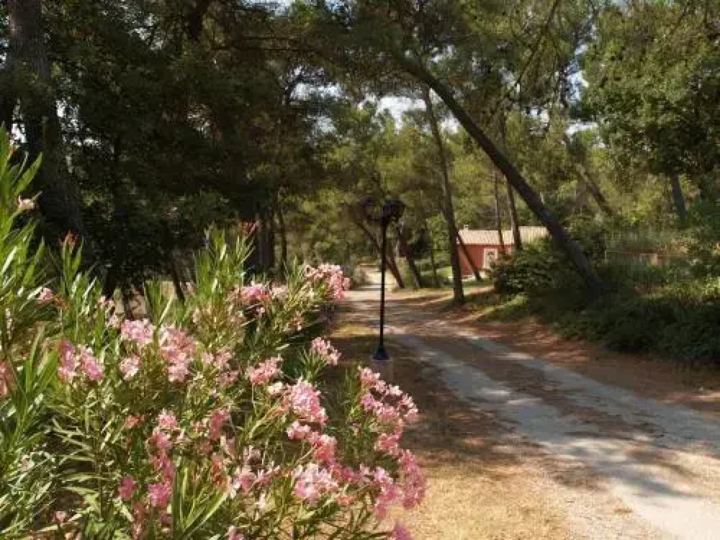 Villas Roque Blanc en Provence
