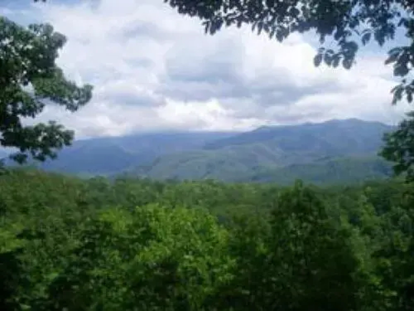 Mountain Treasure Gatlinburg - 2 Br Cabin