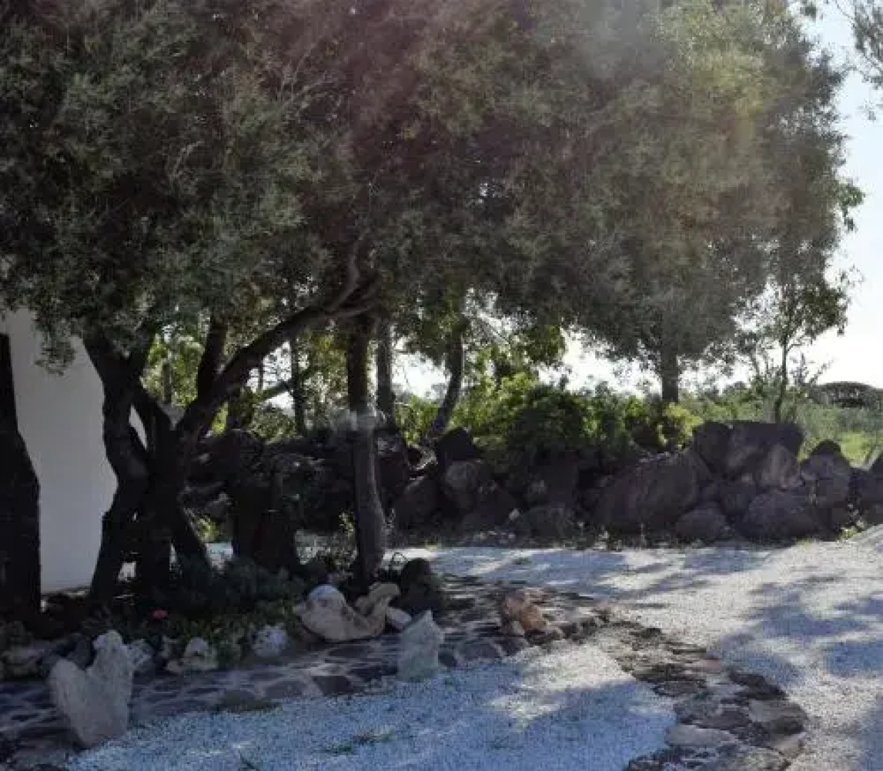 La Ginestra