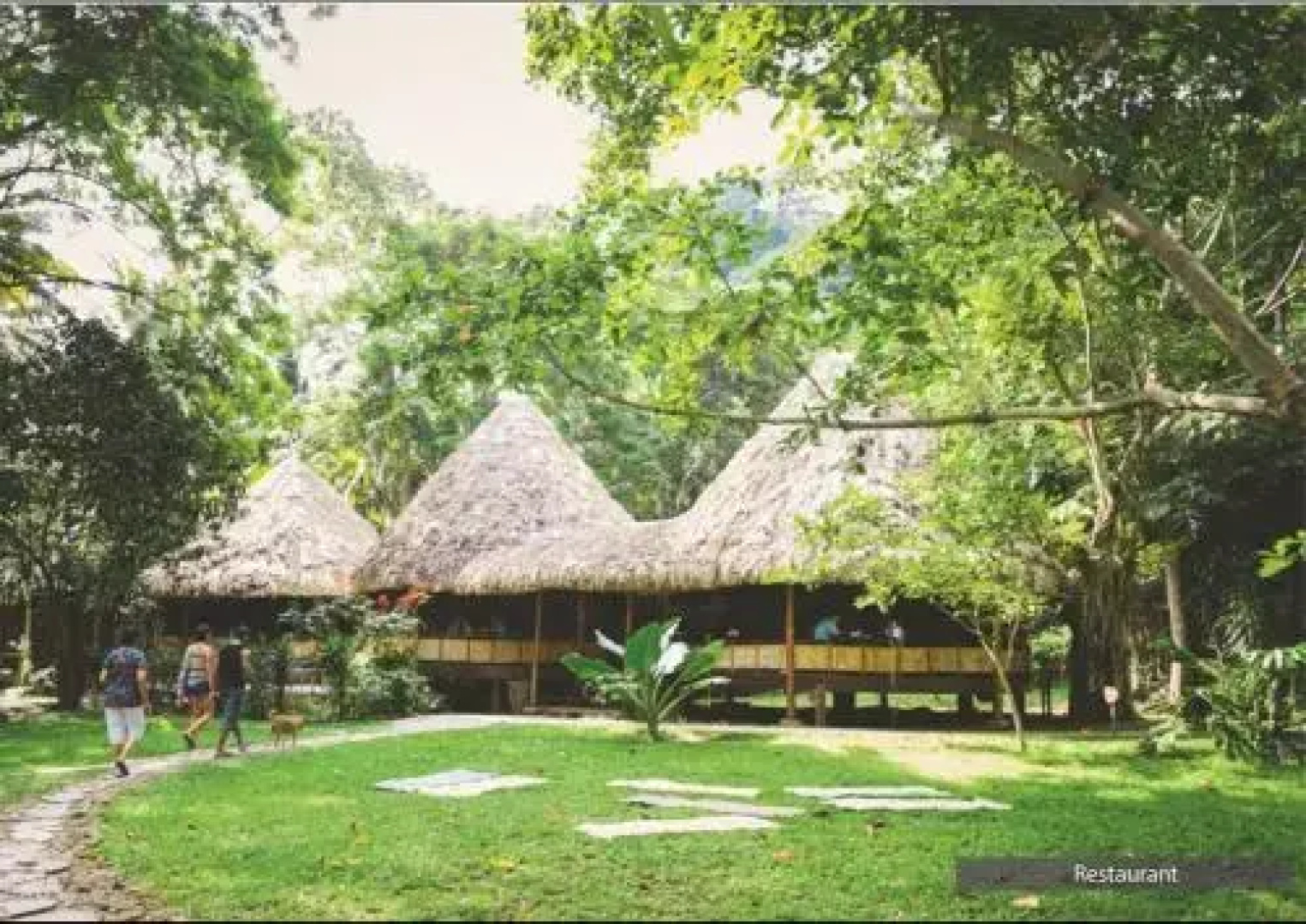 Barefoot At Havelock-Havelock Island