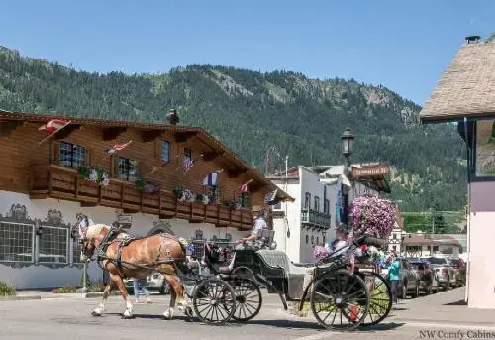 Serendipity Getaway in Shugart Flats