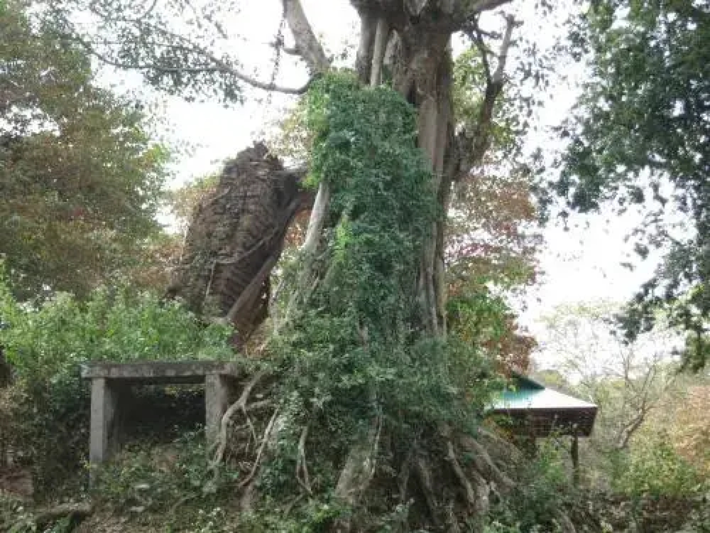 Isanborei Homestay 9