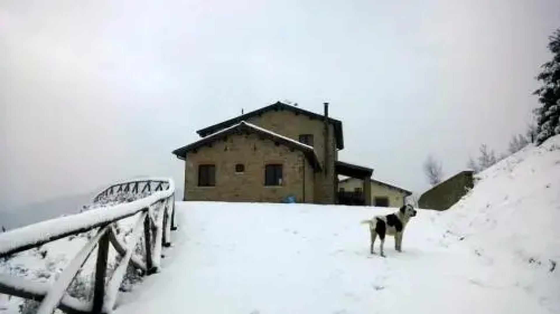 Al Canto del Gallo