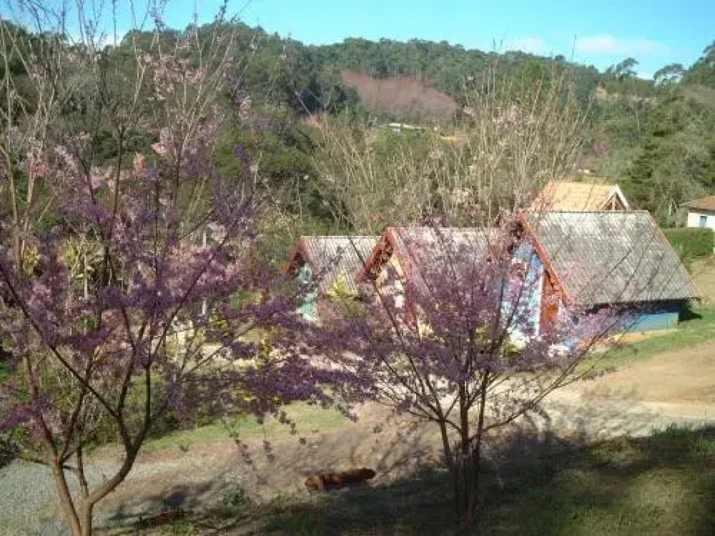 Pousada Verdes Alpes
