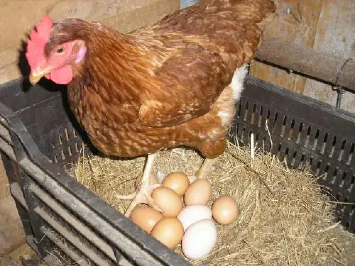 Agriturismo la Scala