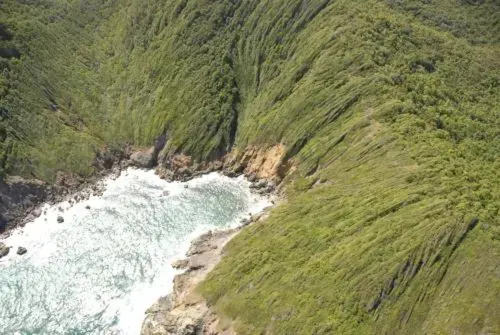 CARRIBBEAN Studio Madicreole au Carbet