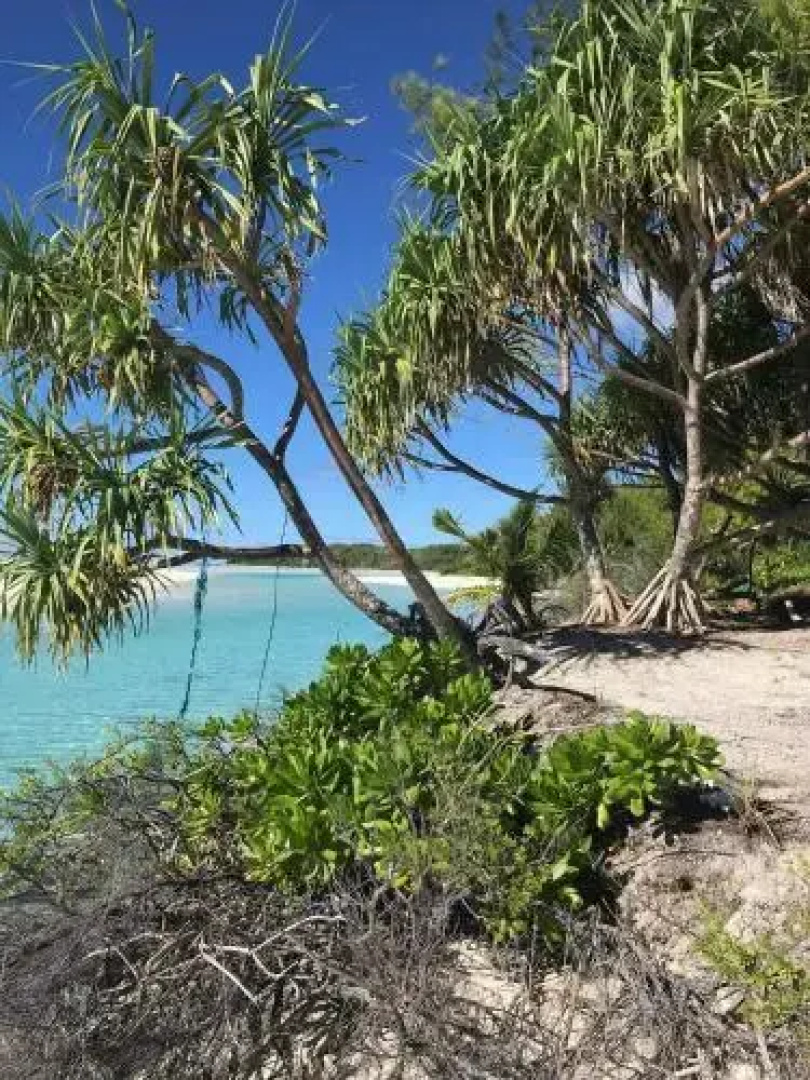 B & B Meri Island - Huahine