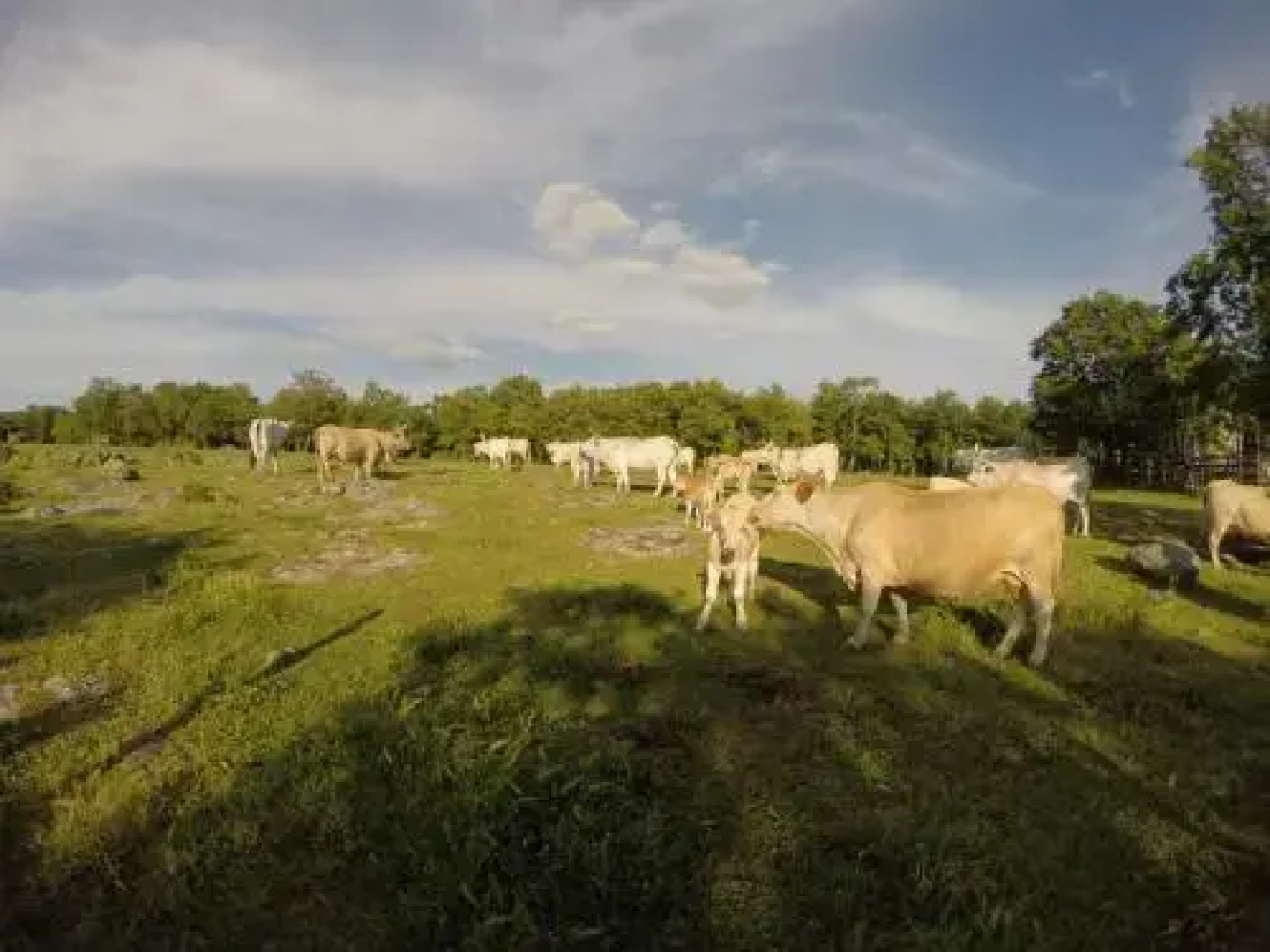 Agriturismo Poggio Della Capanna