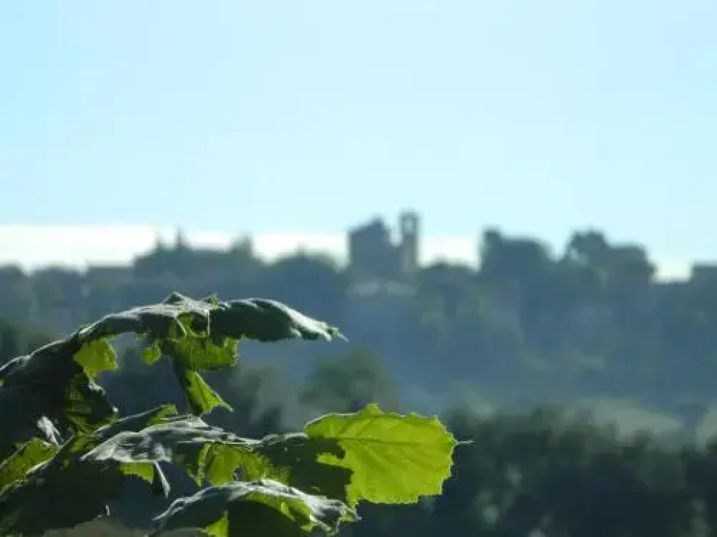 B&B losservatorio
