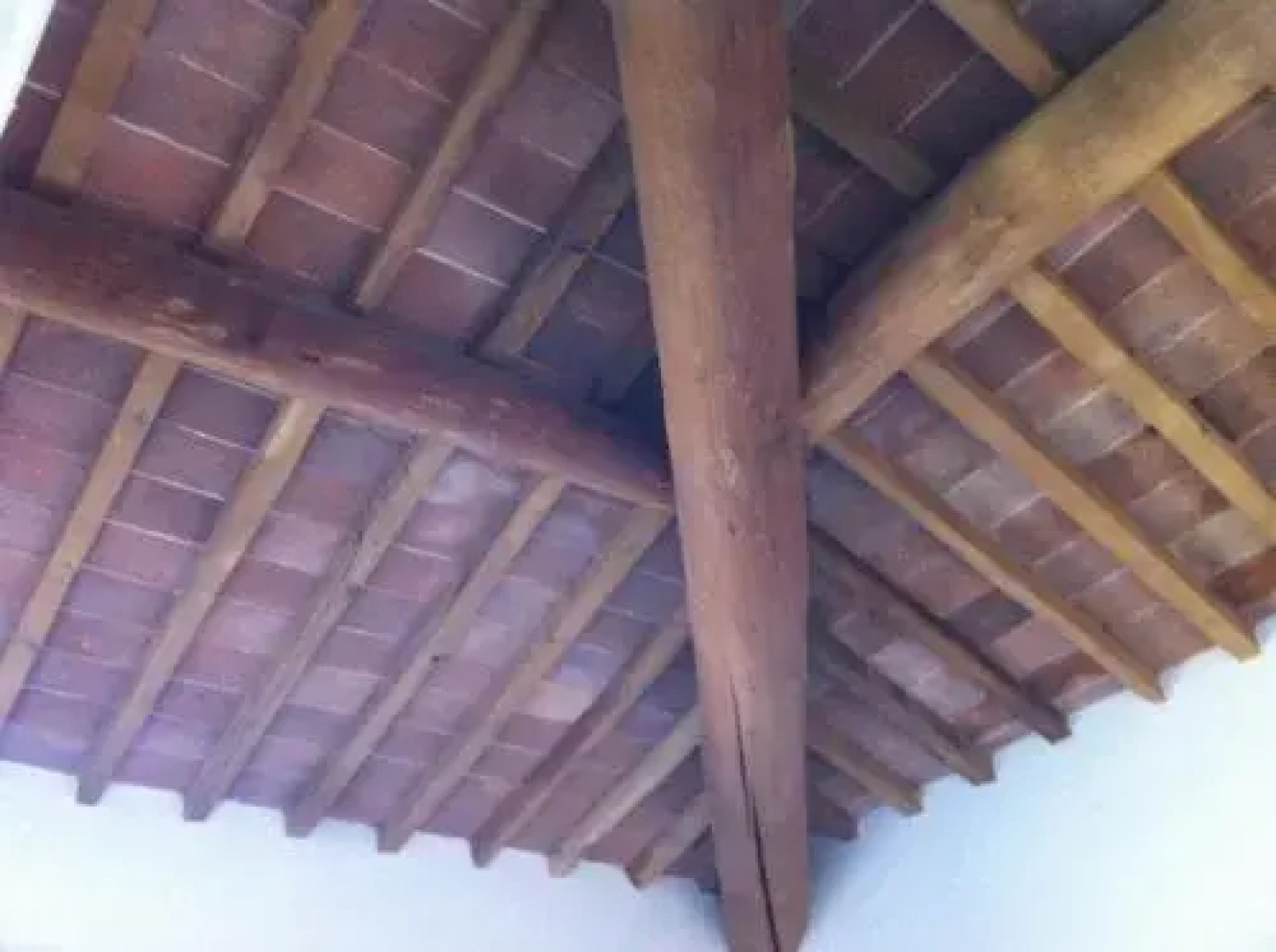 Azienda Podere Casella