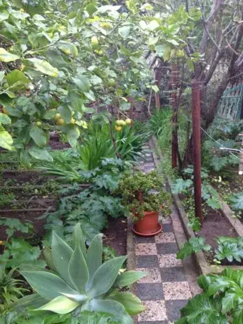 Il giardino di Tatiana