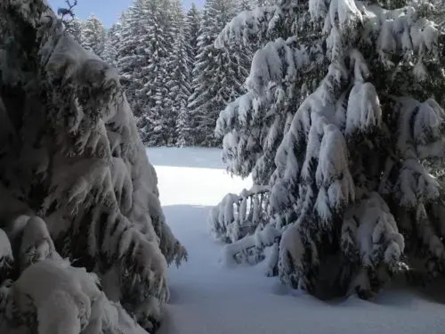 Chalet Les Maigres