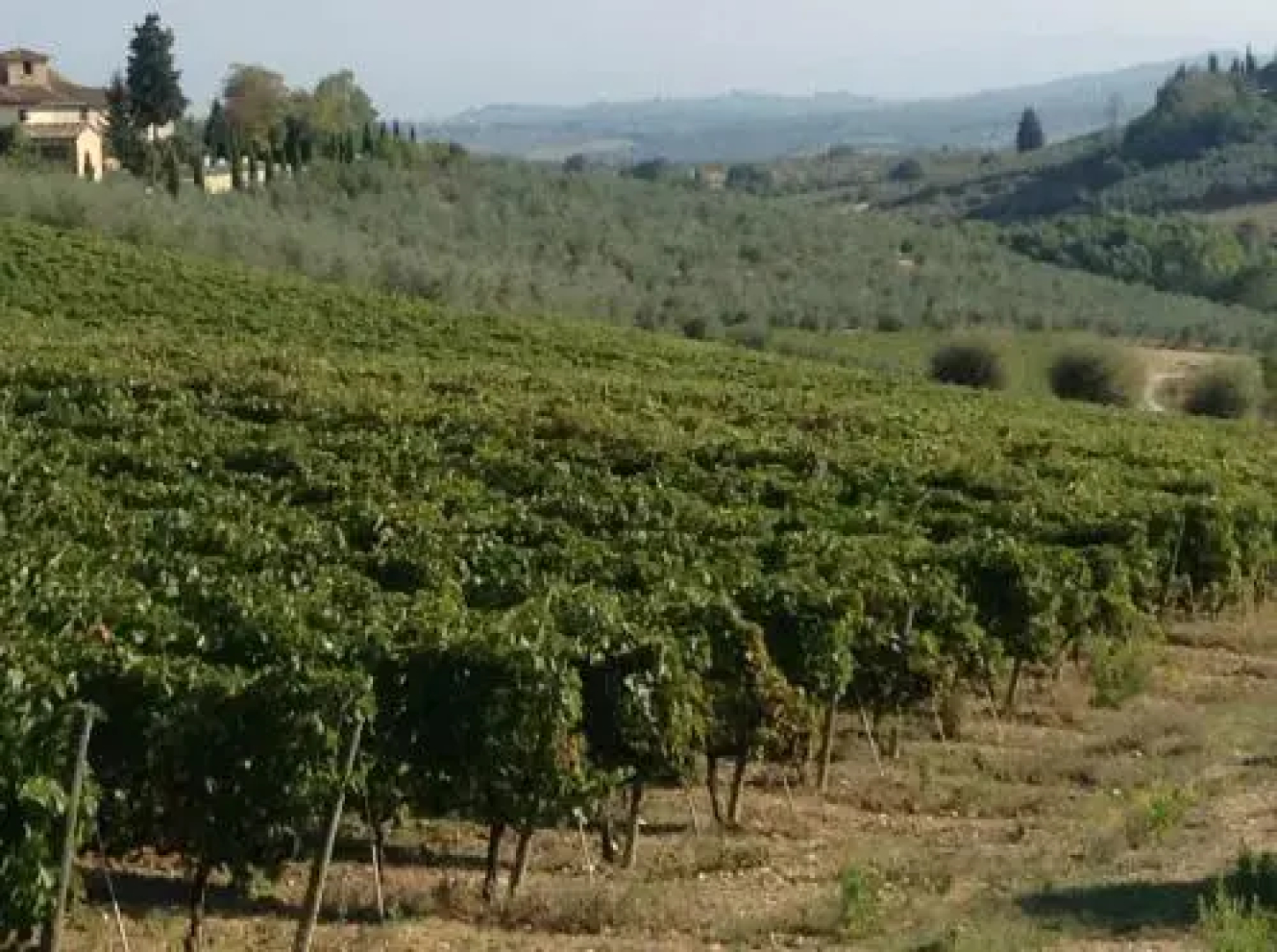 Il Fienile Sotto LArco